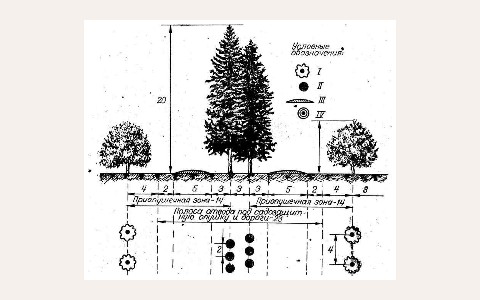 ЖК Абрикосов: планировка 2