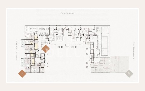 ЖК Astris: планировка 4