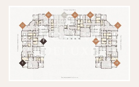 ЖК Astris: планировка 5