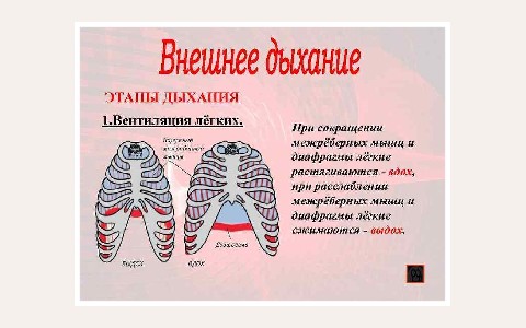 ЖК Дыхание: планировка 1