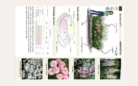 ЖК Hortus Harmonia: планировка 4