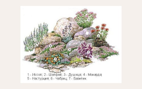 ЖК Каменный цветок — планировка 1 ЖК Каменный цветок: планировка 1