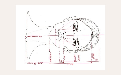 ЖК Лица: планировка 1