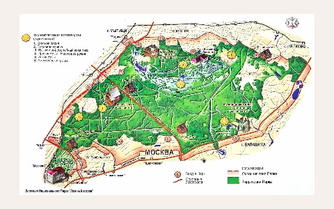 ЖК Лосиный Остров: планировка 3