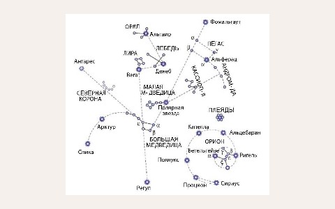 ЖК Западное Созвездие: планировка 1