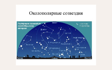 ЖК Западное Созвездие: планировка 3