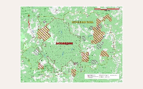 ЖК Заповедный: планировка 4